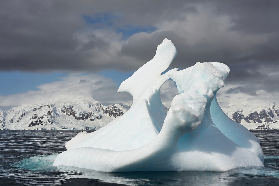 File:114 once an iceberg now a Growler and a scupture V-P.jpg