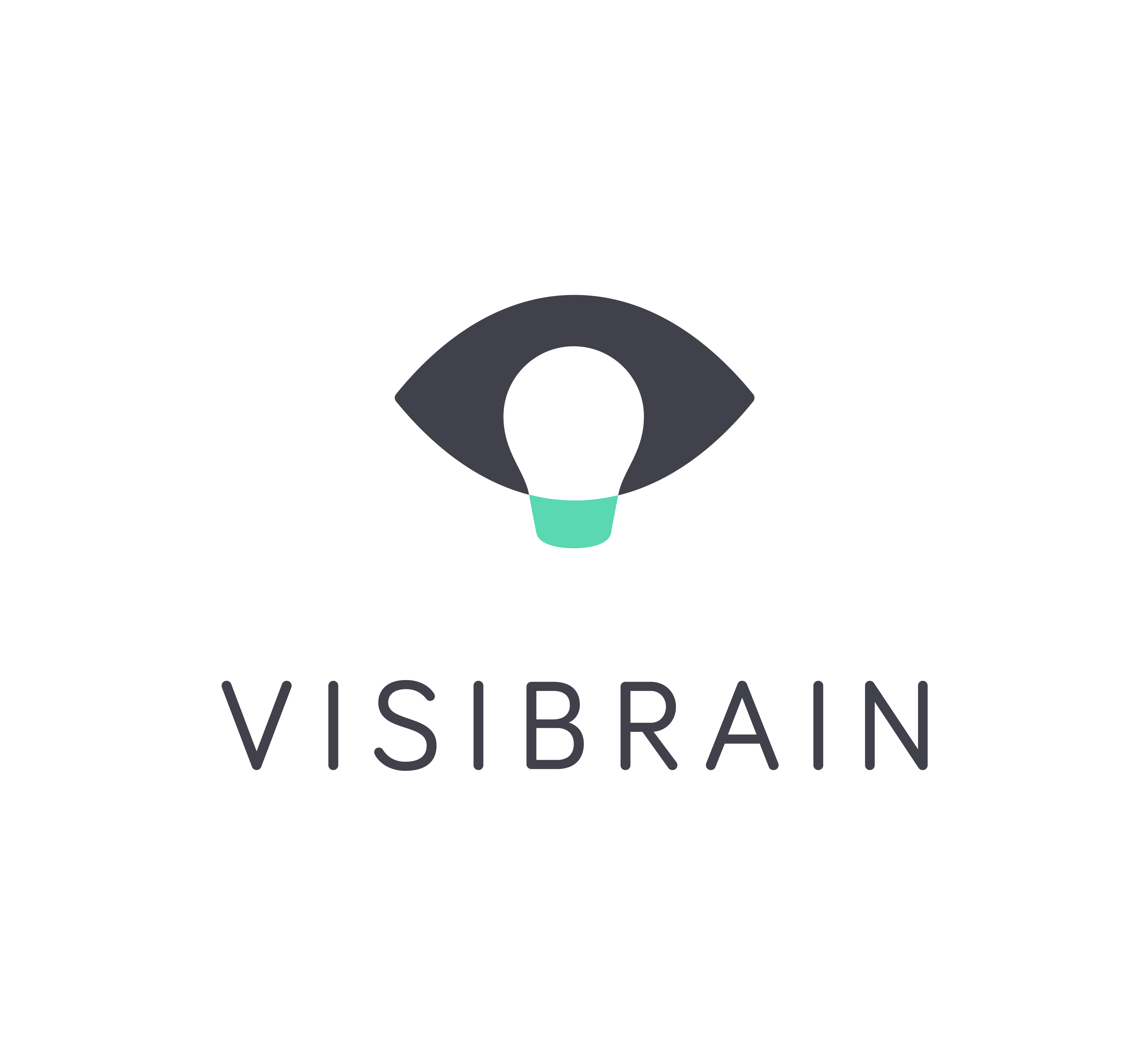 Visibrain logo